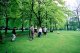 Barbecue-11 - (Craig, Will, Sarah, Annie, Kara, Nick David, A